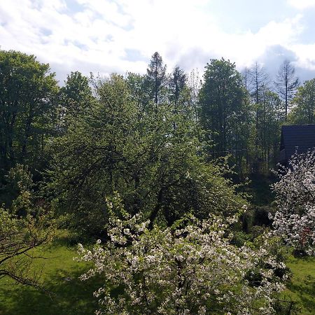 Apartament Bolek I Apartament Lolek Закопане Екстериор снимка