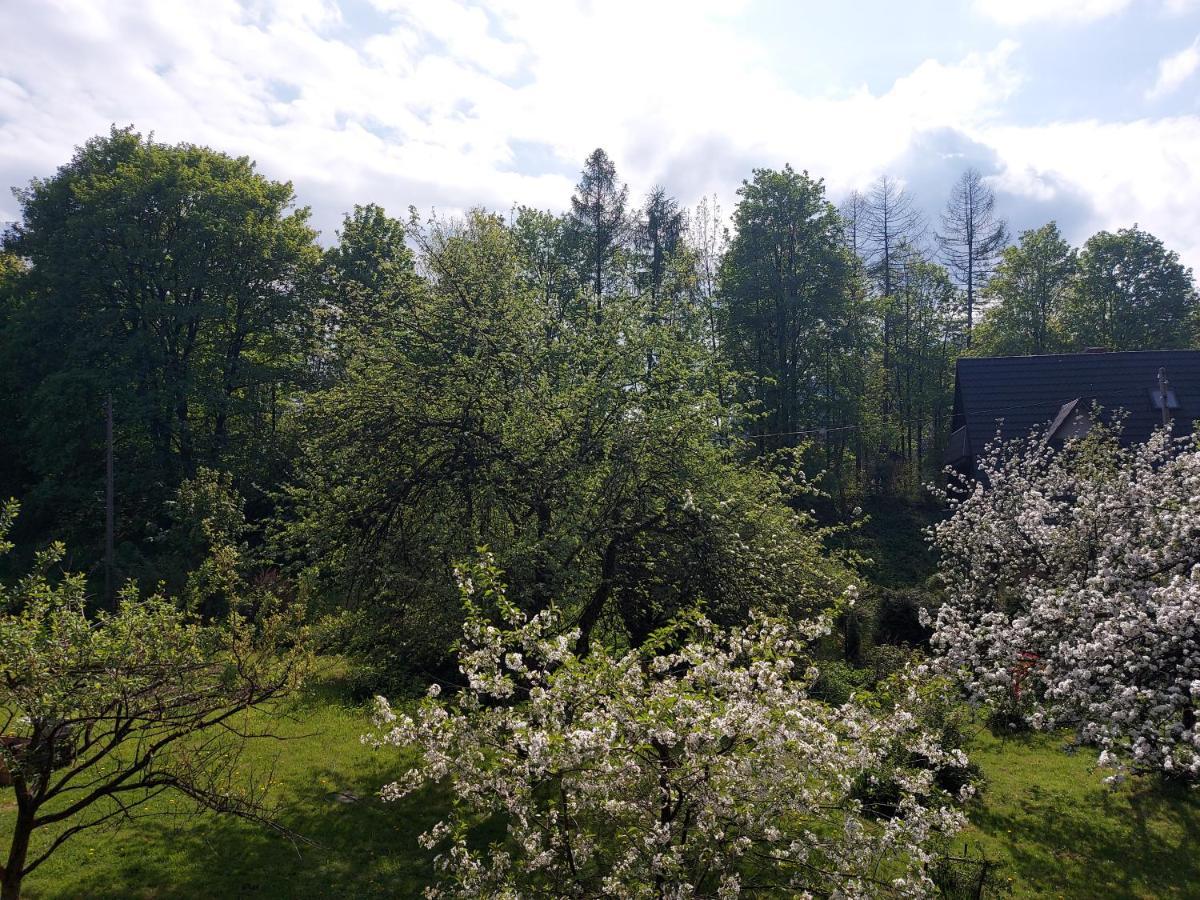 Apartament Bolek I Apartament Lolek Закопане Екстериор снимка
